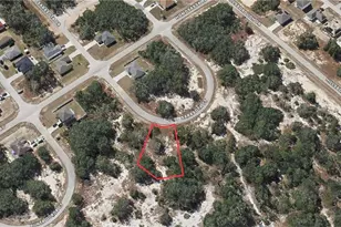 1407 Sarasota Ct, Kissimmee, FL 34759 - Photo 1