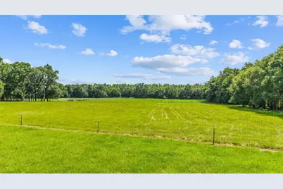 Tbd SE 35th Street, Morriston, FL 32668 - Photo 11