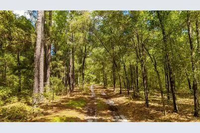 Tbd SE 35th Street, Morriston, FL 32668 - Photo 15