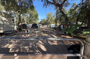 Tbd NE 132nd St, Salt Springs, FL 32134 - Photo 1