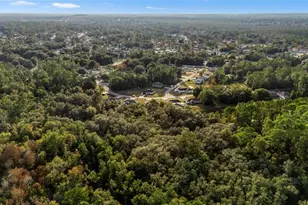 49 Redwood Track Course, Ocala, FL 34472 - Photo 49