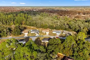 49 Redwood Track Course, Ocala, FL 34472 - Photo 41