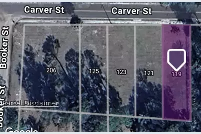 119 Carver Street, Palatka, FL 32177 - Photo 1