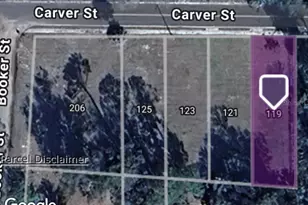 119 Carver St, Palatka, FL 32177 - Photo 1