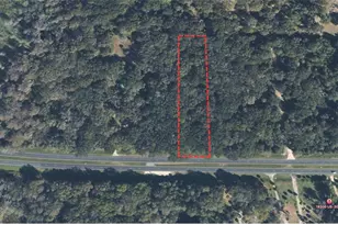 Tbd N Hwy 301, Citra, FL 32113 - Photo 1