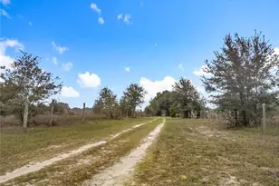 12521 SW Hwy 484, Dunnellon, FL 34432 - Photo 11