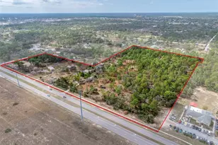 8279 Sunshine Grove Rd, Brooksville, FL 34613 - Photo 11