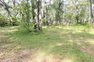 240 SE 165th Court Rd, Silver Springs, FL 34488 - Photo 15