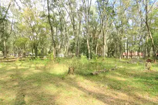240 SE 165th Court Rd, Silver Springs, FL 34488 - Photo 21
