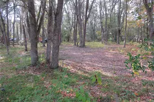 240 SE 165th Court Rd, Silver Springs, FL 34488 - Photo 13