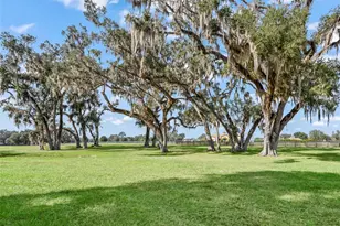 12450 SW 140th Loop, Dunnellon, FL 34432 - Photo 61