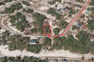 1333 Homosassa Dr, Kissimmee, FL 34759 - Photo 1