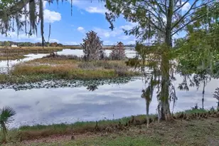 223 S Nesbitt Terrace, Inverness, FL 34450 - Photo 7