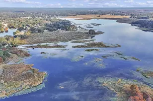 223 S Nesbitt Terrace, Inverness, FL 34450 - Photo 9