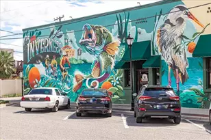 223 S Nesbitt Terrace, Inverness, FL 34450 - Photo 81