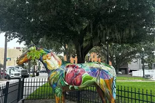 4523 NW 14th Loop, Ocala, FL 34482 - Photo 29