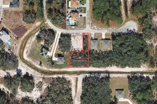 1236 Wahneta Dr, Kissimmee, FL 34759 - Photo 1