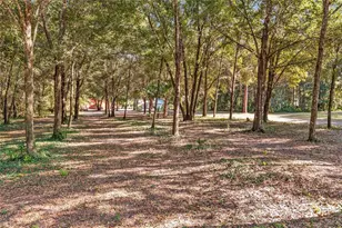 15670 S Hwy 25, Weirsdale, FL 32195 - Photo 77