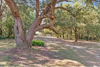 15670 S Highway 25, Weirsdale, FL 32195 - Photo 71