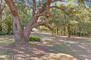 15670 S Hwy 25, Weirsdale, FL 32195 - Photo 71