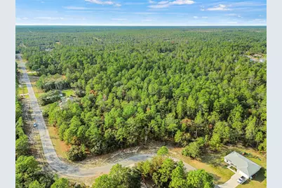 3873 W Findlay Street, Citrus Springs, FL 34433 - Photo 11