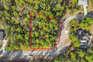 3873 W Findlay St, Citrus Springs, FL 34433 - Photo 1