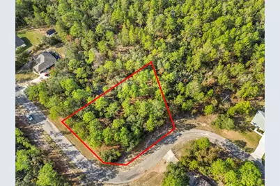 3873 W Findlay Street, Citrus Springs, FL 34433 - Photo 3