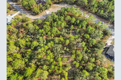 3873 W Findlay Street, Citrus Springs, FL 34433 - Photo 17