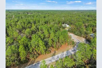 3873 W Findlay Street, Citrus Springs, FL 34433 - Photo 15