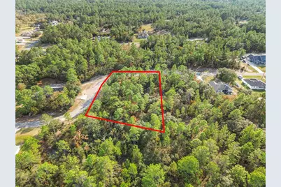 3873 W Findlay Street, Citrus Springs, FL 34433 - Photo 19