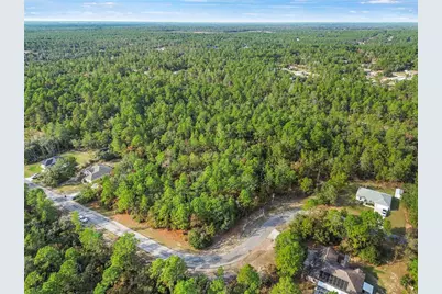 3873 W Findlay Street, Citrus Springs, FL 34433 - Photo 13