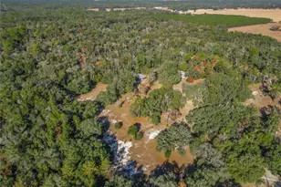 11650 NE 88th Ln, Bronson, FL 32621 - Photo 75