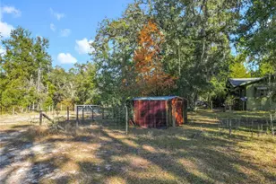 11650 NE 88th Ln, Bronson, FL 32621 - Photo 69