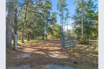 11650 NE 88th Lane, Bronson, FL 32621 - Photo 15