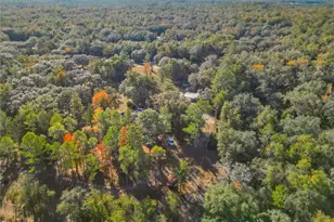 11650 NE 88th Ln, Bronson, FL 32621 - Photo 11