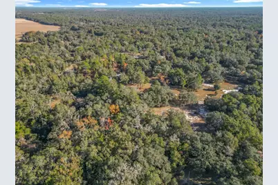 11650 NE 88th Lane, Bronson, FL 32621 - Photo 79