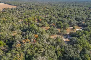 11650 NE 88th Ln, Bronson, FL 32621 - Photo 79