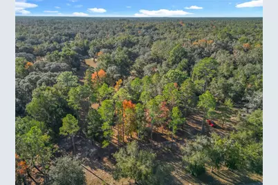 11650 NE 88th Lane, Bronson, FL 32621 - Photo 13