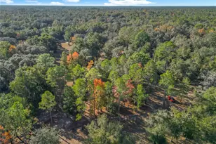 11650 NE 88th Ln, Bronson, FL 32621 - Photo 13