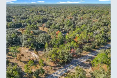 11650 NE 88th Lane, Bronson, FL 32621 - Photo 9