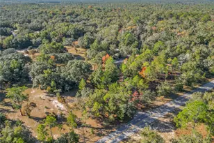 11650 NE 88th Ln, Bronson, FL 32621 - Photo 9