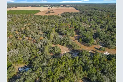 11650 NE 88th Lane, Bronson, FL 32621 - Photo 77