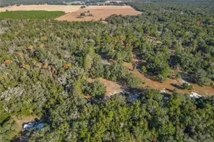 11650 NE 88th Ln, Bronson, FL 32621 - Photo 77