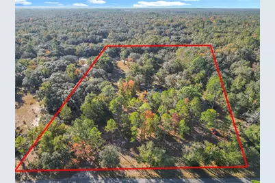 11650 NE 88th Lane, Bronson, FL 32621 - Photo 83