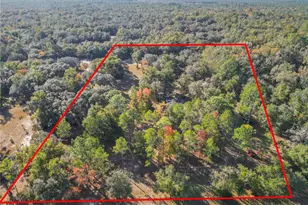 11650 NE 88th Ln, Bronson, FL 32621 - Photo 83