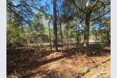 11370 N Ortega Point, Dunnellon, FL 34433 - Photo 5