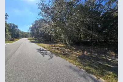 11370 N Ortega Point, Dunnellon, FL 34433 - Photo 3
