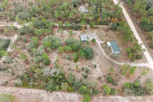 12251 SE 66th Pl, Morriston, FL 32668 - Photo 53