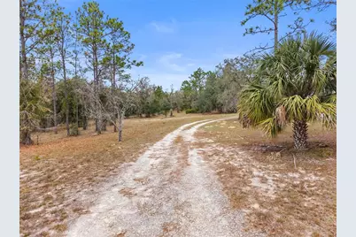 12251 SE 66th Place, Morriston, FL 32668 - Photo 5