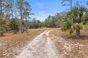 12251 SE 66th Pl, Morriston, FL 32668 - Photo 5